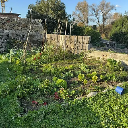 #4 Ramalde Charming House Oporto