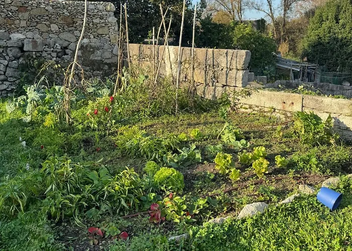 #4 Ramalde Charming House Porto